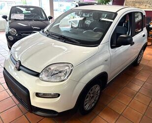 Fiat Panda Gebrauchtwagen