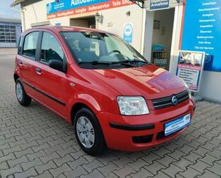 Fiat Panda Gebrauchtwagen
