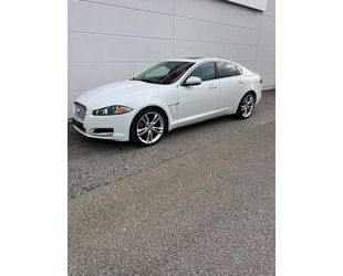 Jaguar XF Gebrauchtwagen