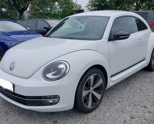 VW Beetle Gebrauchtwagen