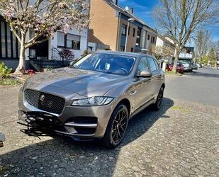 Jaguar F-Pace Gebrauchtwagen