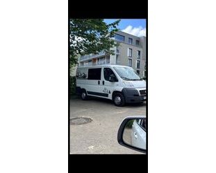 Fiat Ducato Gebrauchtwagen