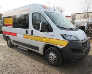 Fiat Ducato Gebrauchtwagen