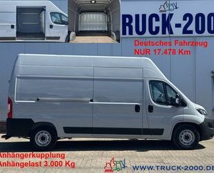 Fiat Ducato Gebrauchtwagen