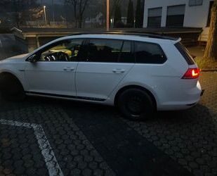 VW Golf Gebrauchtwagen