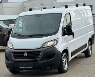 Fiat Ducato Gebrauchtwagen
