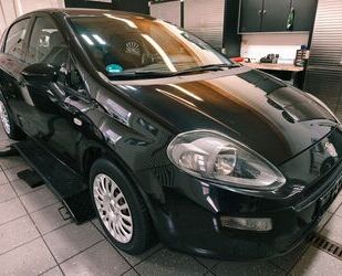 Fiat Punto Gebrauchtwagen