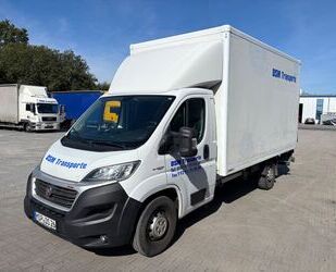 Fiat Ducato Gebrauchtwagen
