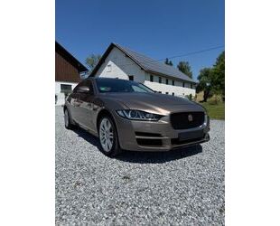 Jaguar XE Gebrauchtwagen