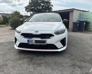 Kia ceed / Ceed Gebrauchtwagen