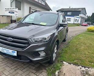 Ford Kuga Gebrauchtwagen