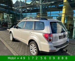 Subaru Forester Gebrauchtwagen