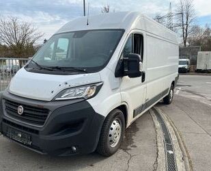 Fiat Ducato Gebrauchtwagen