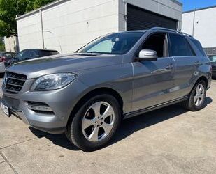 Mercedes-Benz ML 350 Gebrauchtwagen