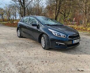 Kia ceed / Ceed Gebrauchtwagen