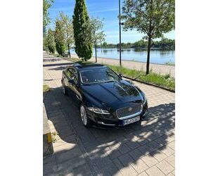 Jaguar XJ Gebrauchtwagen