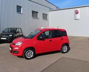 Fiat Panda Gebrauchtwagen