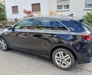 Kia ceed / Ceed Gebrauchtwagen