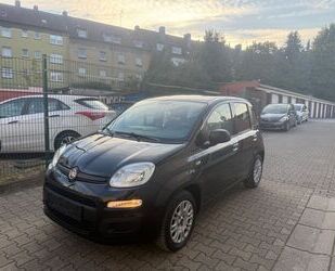 Fiat Panda Gebrauchtwagen