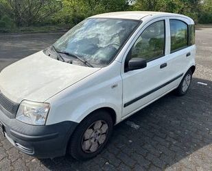 Fiat Panda Gebrauchtwagen