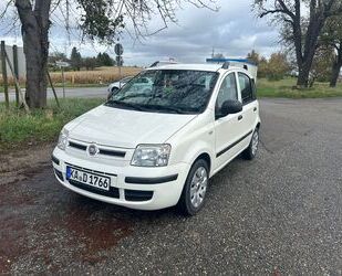 Fiat Panda Gebrauchtwagen