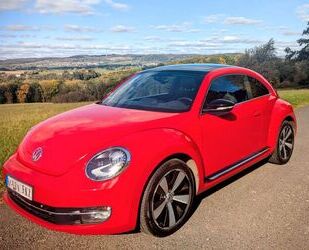 VW Beetle Gebrauchtwagen