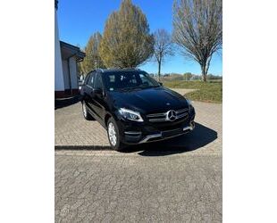 Mercedes-Benz GLE 350 Gebrauchtwagen