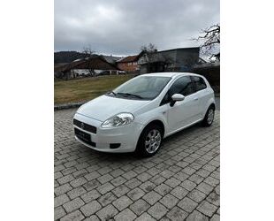 Fiat Punto Gebrauchtwagen