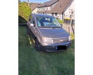 Fiat Panda Gebrauchtwagen