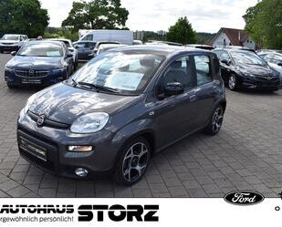 Fiat Panda Gebrauchtwagen