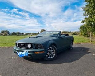 Ford Mustang Gebrauchtwagen