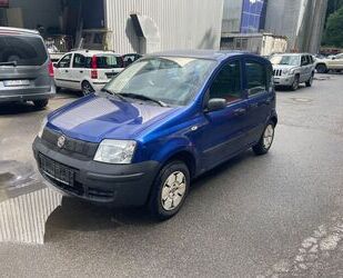 Fiat Panda Gebrauchtwagen