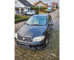 Fiat Punto Gebrauchtwagen