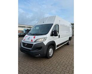 Fiat Ducato Gebrauchtwagen