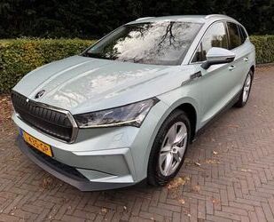 Skoda Enyaq Gebrauchtwagen