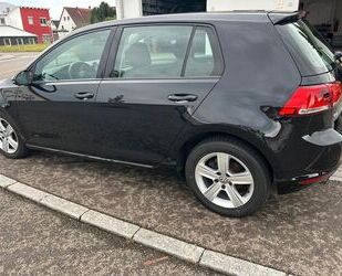Honda Golf 
