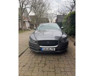Jaguar XE Gebrauchtwagen