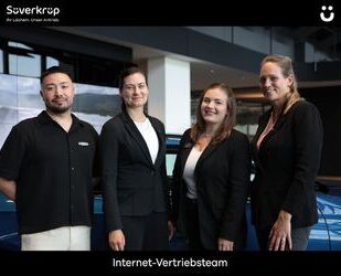 MG MG3 Gebrauchtwagen