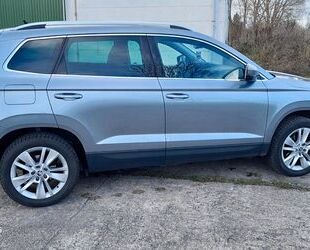 Skoda Karoq Gebrauchtwagen