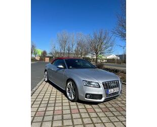 Audi S5 Gebrauchtwagen