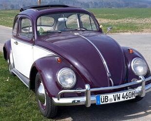VW Käfer Gebrauchtwagen