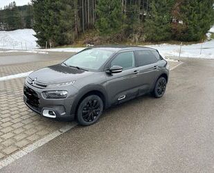 Citroen C4 Cactus Gebrauchtwagen
