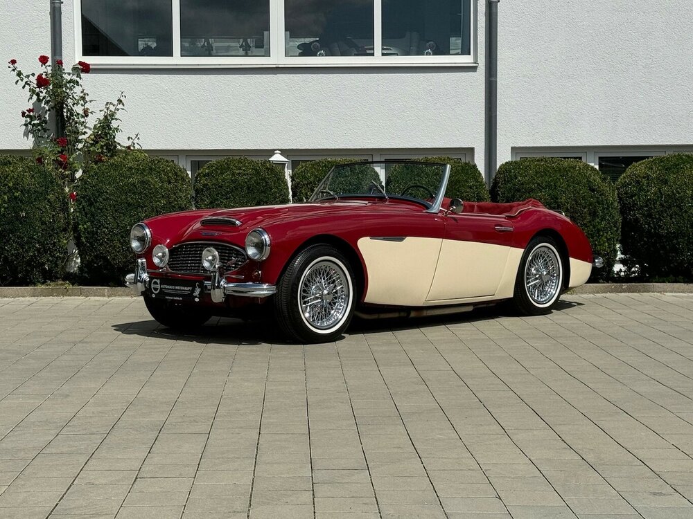 Bild 21