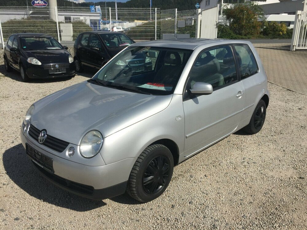Lupo