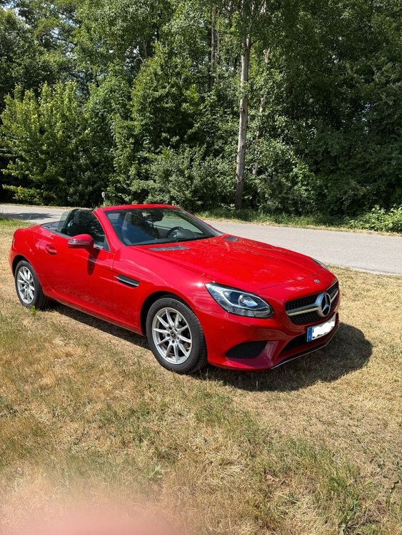 Bild 14