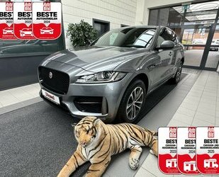 Jaguar F-Pace 3,0 D AWD R-Sport +AHK+Panorama+Navi+Kamera Gebrauchtwagen