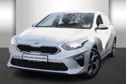 Kia ceed / Ceed Gebrauchtwagen