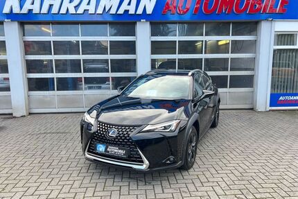 Lexus UX Gebrauchtwagen