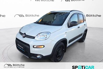 Fiat Panda Gebrauchtwagen