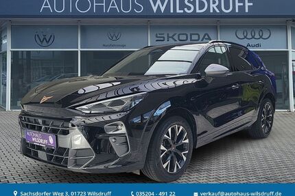 Cupra Terramar Gebrauchtwagen